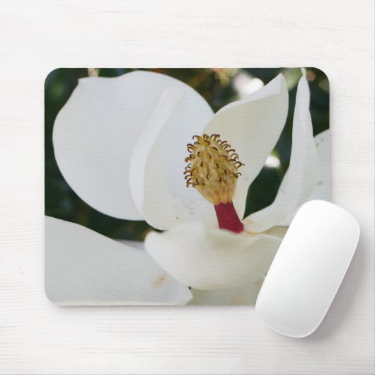 Weiße Blumengeschenkblüte der südlichen Magnolie Mousepad (Mit Mouse)