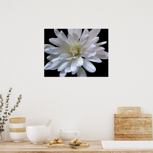 Weiße, blumenweiße, matte weiße Blume Poster (Küche)