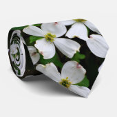 Weiße Blüte des blühenden Hartriegels Krawatte (Gerollt)