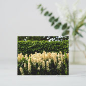 Weiße Blüte Postkarte (Stehend Vorderseite)