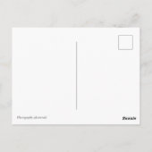 Weiße Blüte Postkarte (Rückseite)