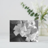 Weiße Blüte Postkarte (Stehend Vorderseite)