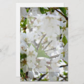 Weiße Blüten, blühender Kirschbaum Briefpapier (Vorne/Hinten)