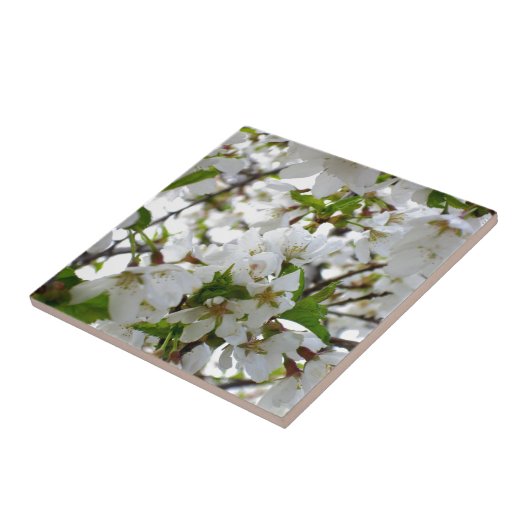 Weiße Blüten Fliese (Seite)