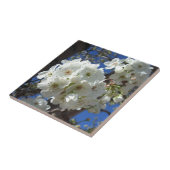 Weiße Blüten I ZierBirnenbaum Fliese (Seite)