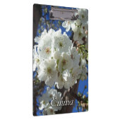 Weiße Blüten I ZierBirnenbaum Klemmbrett (Rechts)