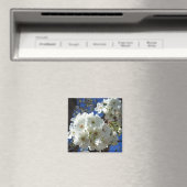 Weiße Blüten I ZierBirnenbaum Magnet (In Situ (Geschirrspüler))