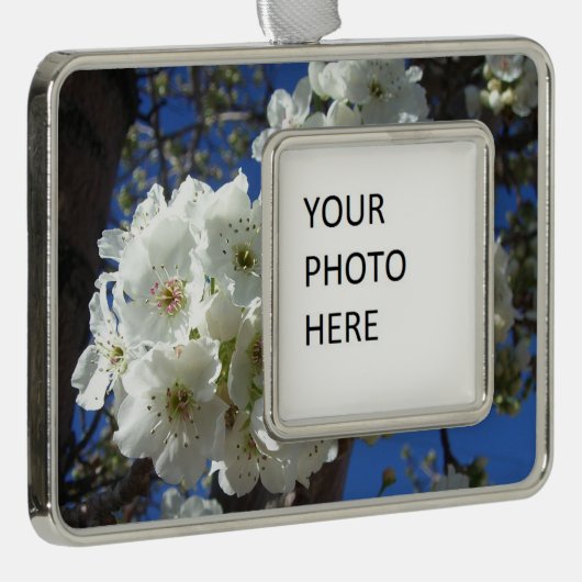 Weiße Blüten I ZierBirnenbaum Rahmen-Ornament Silber (Rechts)
