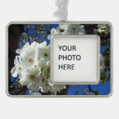 Weiße Blüten I ZierBirnenbaum Rahmen-Ornament Silber (Vorderseite)