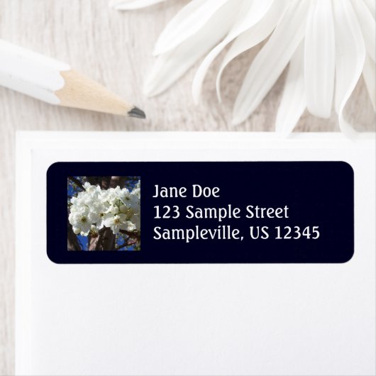 Weiße Blüten II Frühlingsblüte Baum (Insitu)