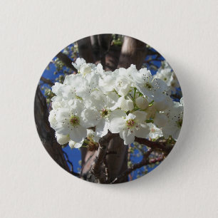 Weiße Blüten II Frühlingsblüte Baum Button