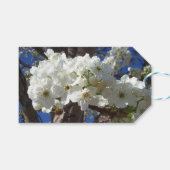 Weiße Blüten II Frühlingsblüte Baum Geschenkanhänger (Vorderseite (Horizontal))
