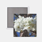 Weiße Blüten II Frühlingsblüte Baum Magnet (Vorderseite/Rückseite)