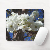 Weiße Blüten II Frühlingsblüte Baum Mousepad (Mit Mouse)