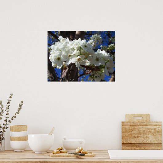 Weiße Blüten II Frühlingsblüte Baum Poster (Küche)