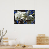 Weiße Blüten II Frühlingsblüte Baum Poster (Küche)