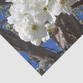 Weiße Blüten II Frühlingsblüte Baum Seidenpapier (Ausschnitt)