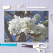 Weiße Blüten II Frühlingsblüte Baum Seidenpapier (Handwerk)