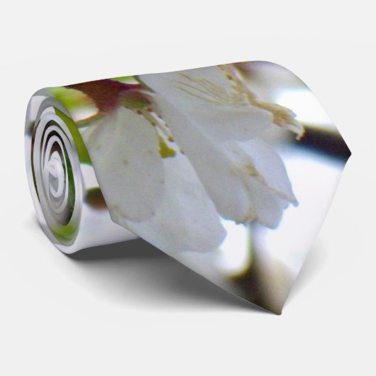 Weiße Blüten Krawatte (Gerollt)