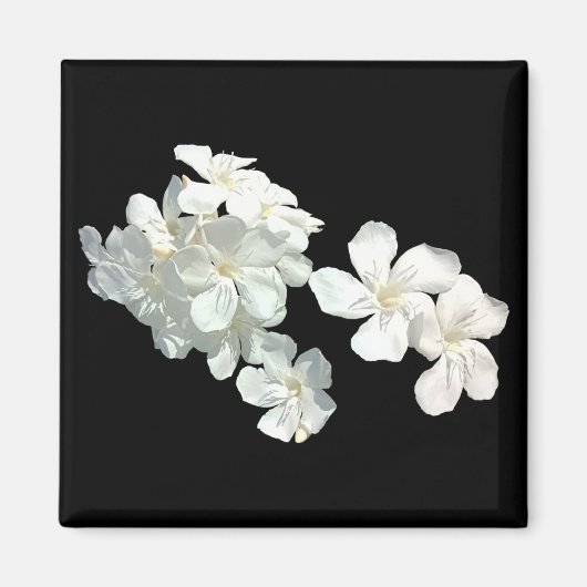 Weiße Blüten Magnet (Vorne)