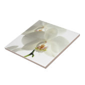 Weiße Blüten-Orchideen-Blumen-Blumennatur Fliese (Seite)