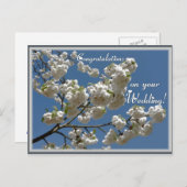 Weiße Blüten Postkarte (Vorne/Hinten)