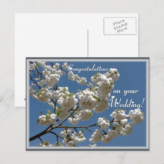 Weiße Blüten Postkarte (Vorne/Hinten)