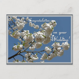 Weiße Blüten Postkarte