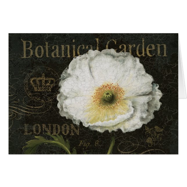 Weiße Blüten und Blätter (Vorderseite (Horizontal))