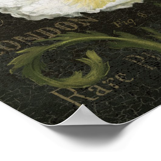 Weiße Blüten und Blätter Poster (Ecke)