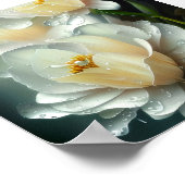 Weiße Blüten und Wassertropfen Poster (Ecke)