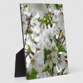 Weiße Blüten, weiße Blume mit eleganten weißen Blü Fotoplatte (Seite)