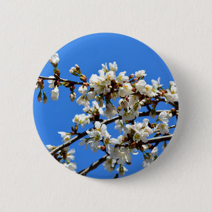 Weiße Blütenblumenblüte, weißer Frühlingsbaum Button