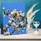 Weiße Blütenblumenblüte, weißer Frühlingsbaum Fotoplatte (Seite)