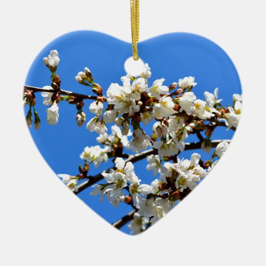 Weiße Blütenblumenblüte, weißer Frühlingsbaum Keramikornament (Vorne)