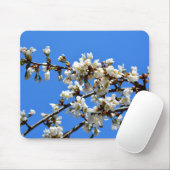 Weiße Blütenblumenblüte, weißer Frühlingsbaum Mousepad (Mit Mouse)