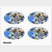 Weiße Blütenblumenblüte, weißer Frühlingsbaum Ovaler Aufkleber (Blatt)