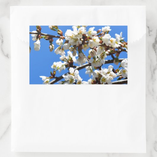 Weiße Blütenblumenblüte, weißer Frühlingsbaum Rechteckiger Aufkleber (Tasche)