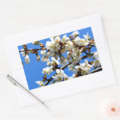 Weiße Blütenblumenblüte, weißer Frühlingsbaum Rechteckiger Aufkleber (Umschlag)