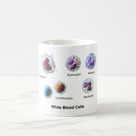 Weiße Blutkörperchen Leukozyten - Diagramm Kaffeetasse (Mittel)