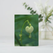 Weiße Blutungen Herz Postkarte (Stehend Vorderseite)