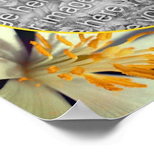 Weiße Blutwurzelrahmen erstellen Ihr eigenes Foto Poster (Ecke)