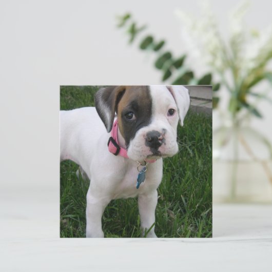 Weiße Boxer-Hündchen-Einladung Einladung (Stehend Vorderseite)