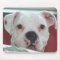 Weiße Boxer-HundeFoto-Mausunterlage