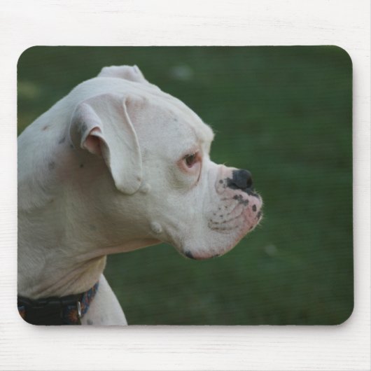 Weiße Boxer-HundeFoto-Mausunterlage Mousepad (Vorne)