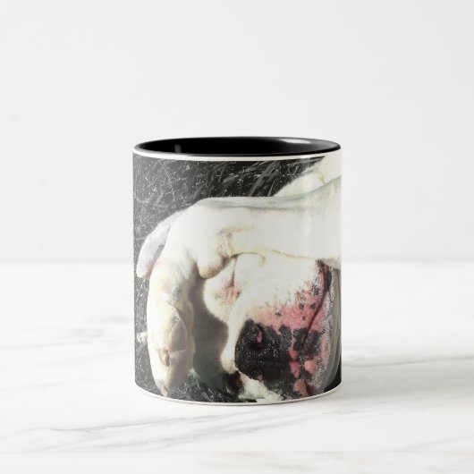 Weiße Boxer-Tasse Zweifarbige Tasse (Mittel)