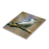 Weiße-Breasted Kleiber-Keramik-Foto-Fliese Fliese (Seite)