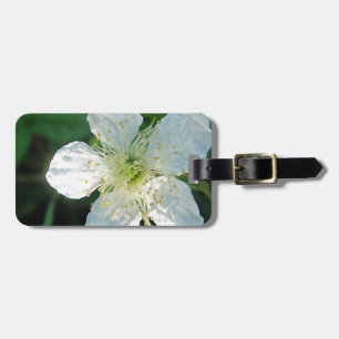 Weisse Brombeerblüte Gepäckanhänger