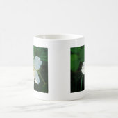 Weisse Brombeerblüte Kaffeetasse (Mittel)