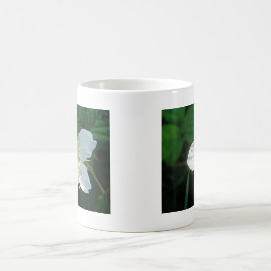 Weisse Brombeerblüte Kaffeetasse (Mittel)